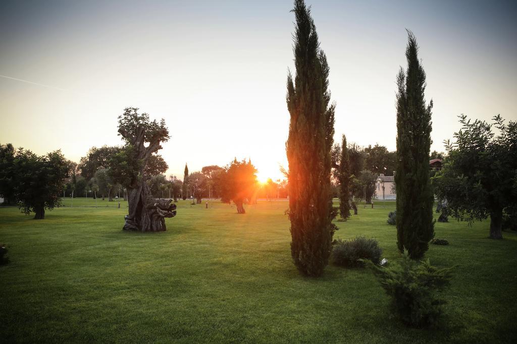 פויג'ה Masseria Pietrafitta מראה חיצוני תמונה